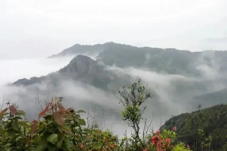 湖北PG电子绿色能源有限公司